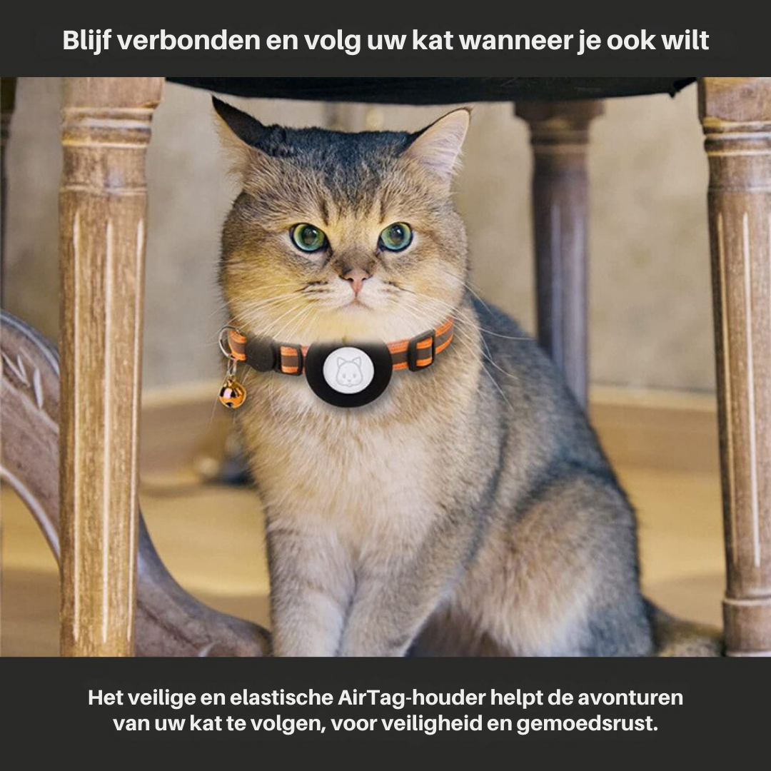 Collier GPS pour Chat avec Design Réfléchissant 2