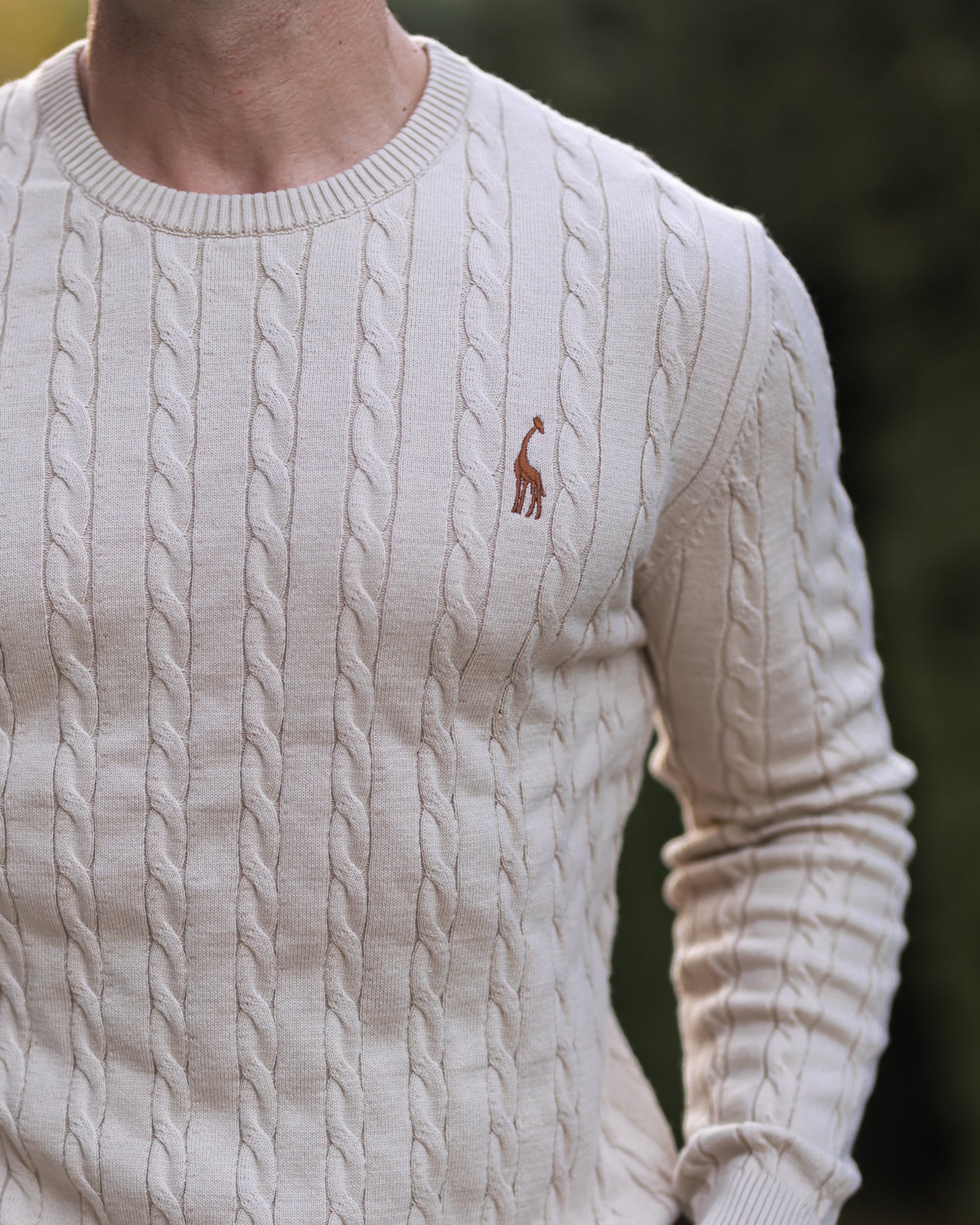 Pull en Maille Torsadée pour Homme Automne 1