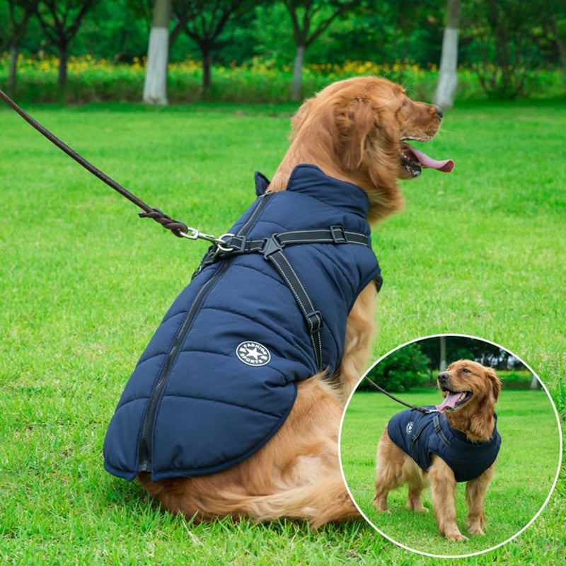Veste d'hiver pour chiens avec harnais réfléchissant 1