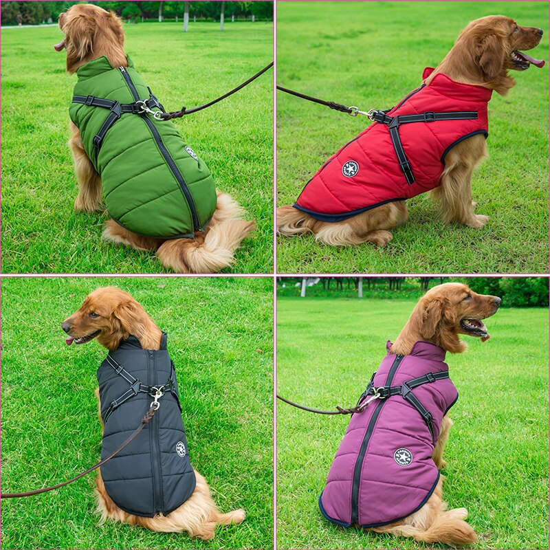 Veste d'hiver pour chiens avec harnais réfléchissant 3