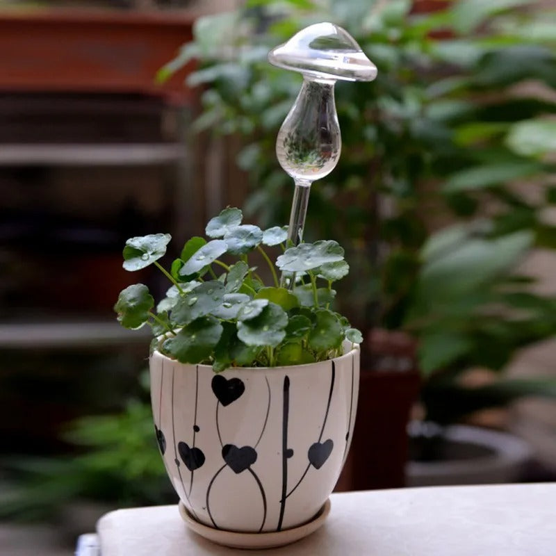 Plante d'intérieur auto-arrosage en verre