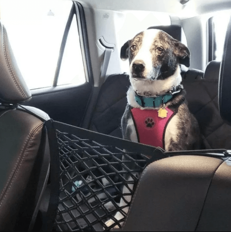 Filet de rangement pour les sièges du coffre