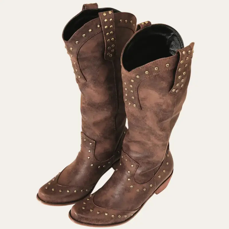Bottes Western Femme en Similicuir Marron 1