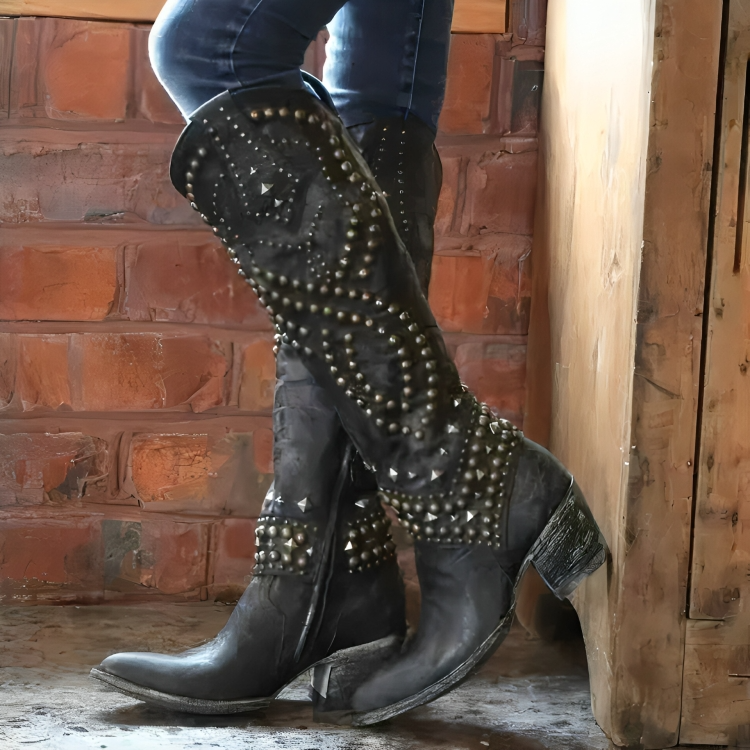 Bottes pour Femmes à Talon Bloc et Bout Pointu 2