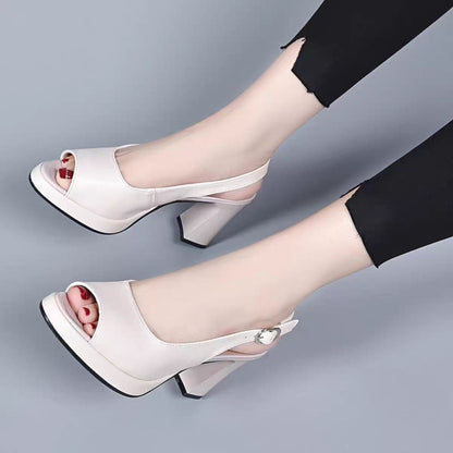 Chaussures à Talons Femmes Chic 4