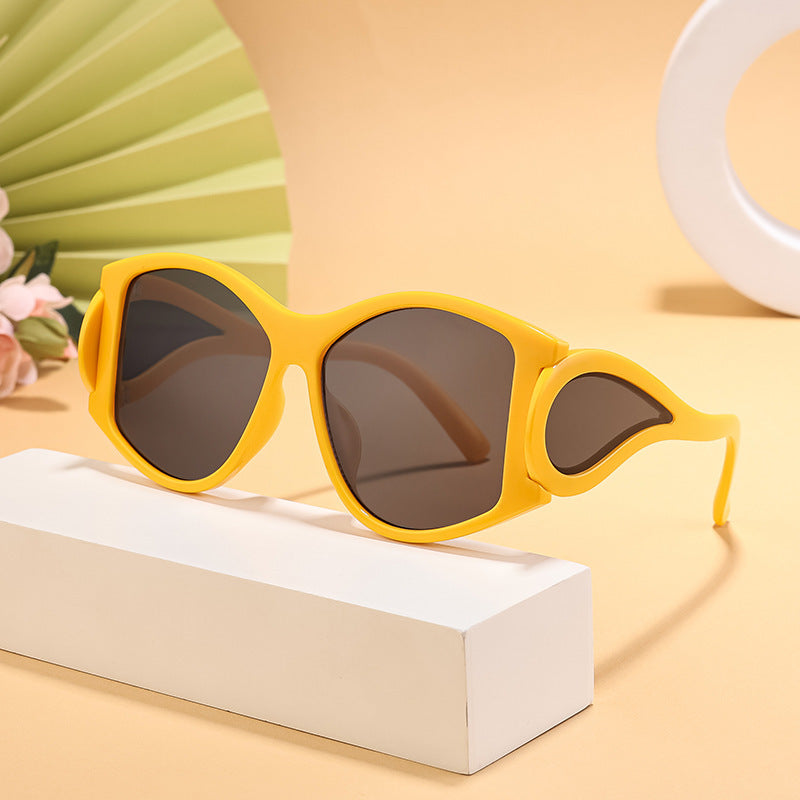 Lunettes de soleil Cat-Eye modernes pour femmes 1