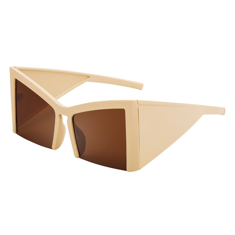 Lunettes de soleil pour femmes avec monture angulaire moderne 6