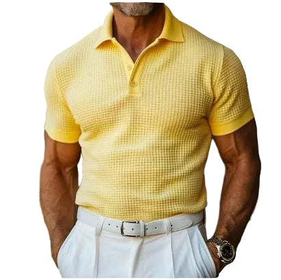 Polo Homme Classique à Col Revers Décontracté 0