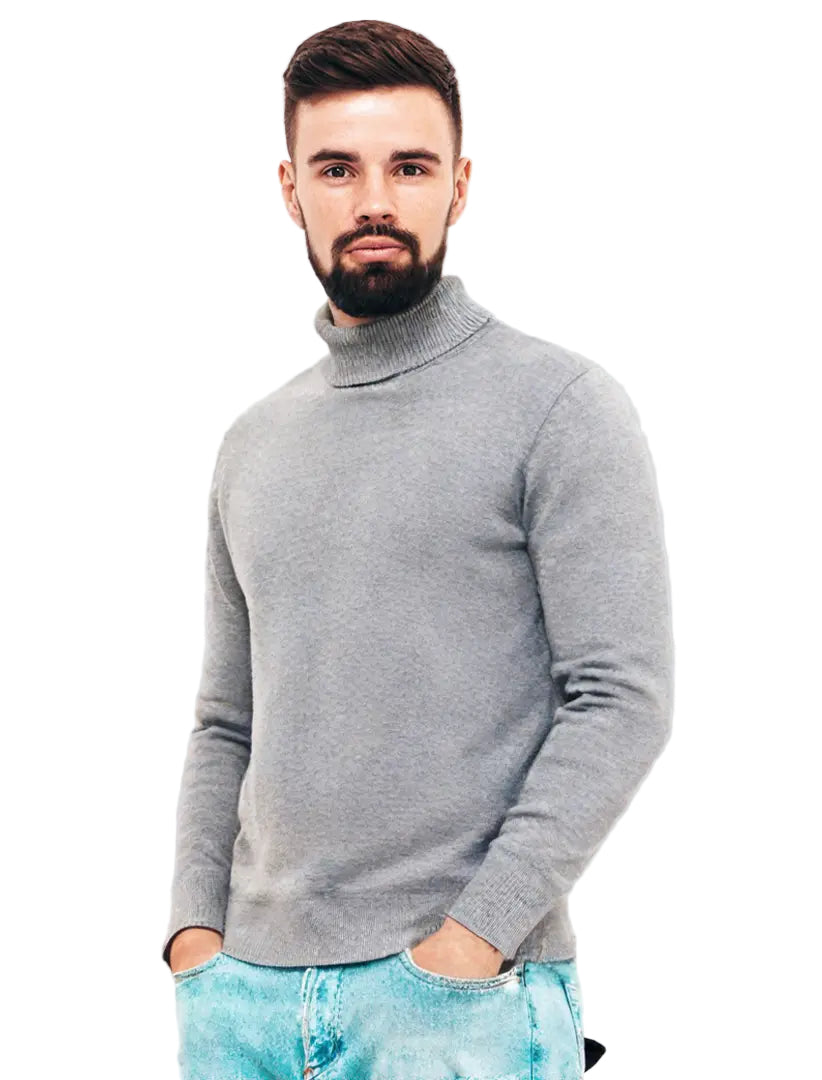 Pull Classique à Col Roulé pour Homme 1
