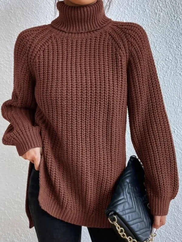 Pull Femme Col Roulé Ample avec Manches Raglan 11