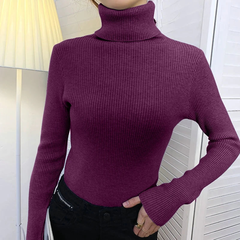 Pull Femme Col Roulé Tricoté Automne Hiver 13