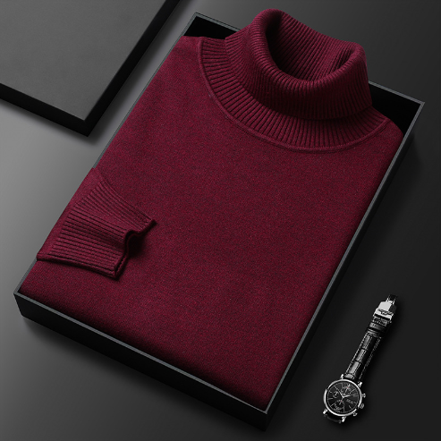 Pull Homme Col Roulé Ajusté en Tissu Doux 3