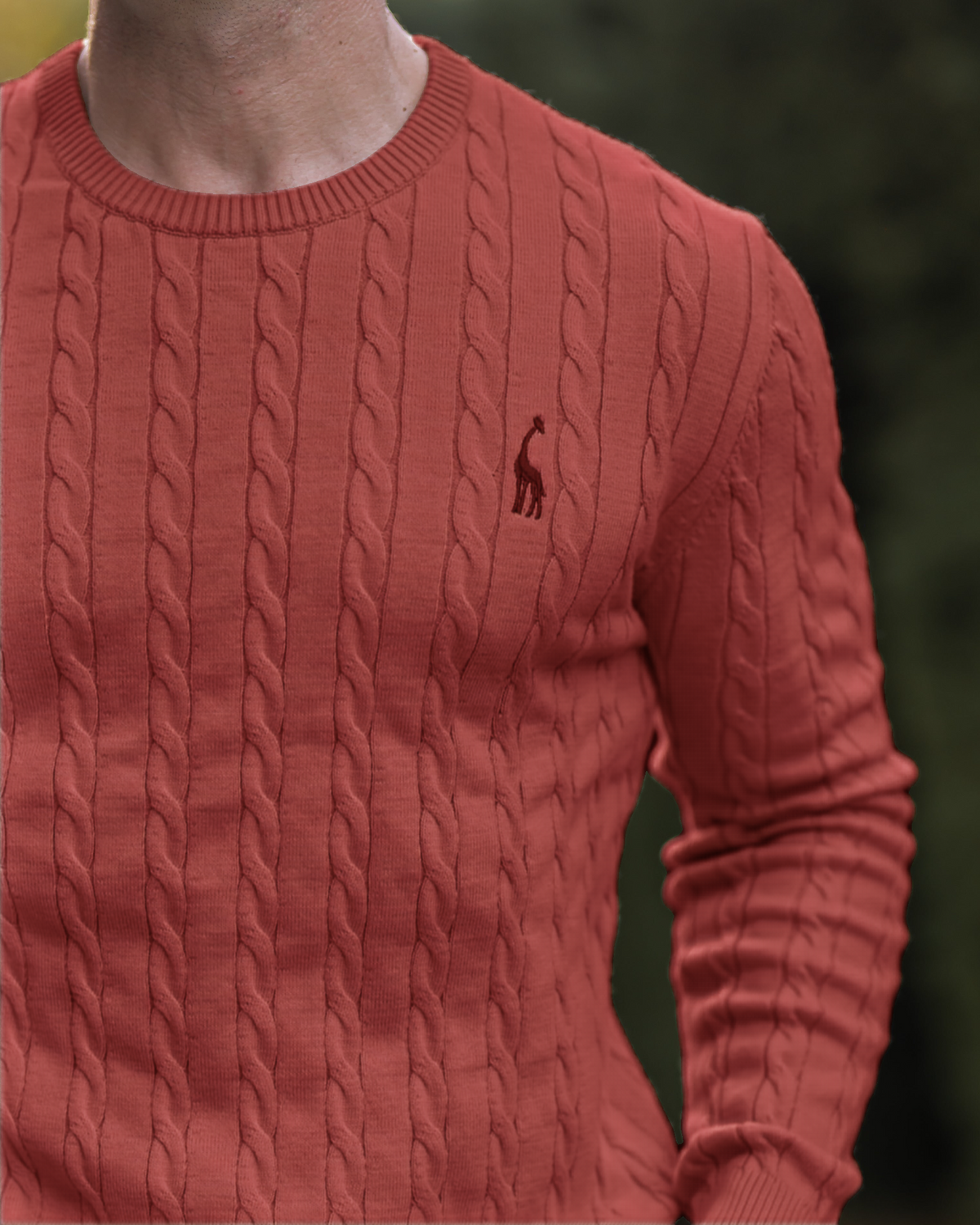 Pull en Maille Torsadée pour Homme Automne 10