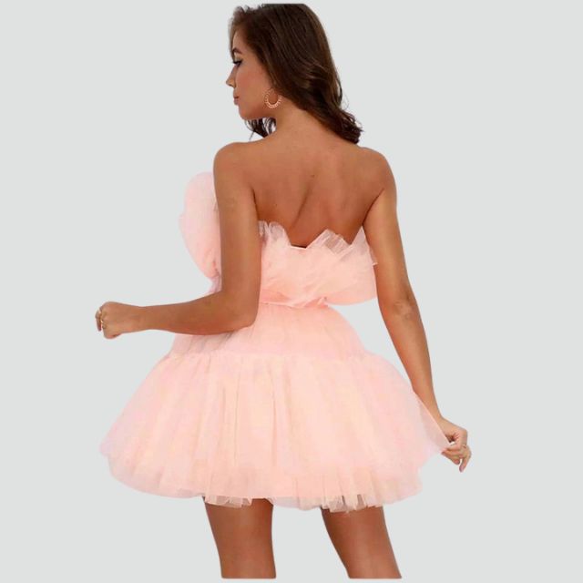 Robe Bustier Tulle Superposée 4