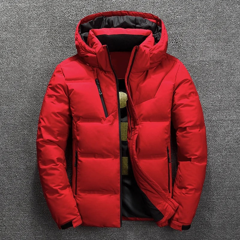 Veste d'hiver pour hommes en duvet moderne 2