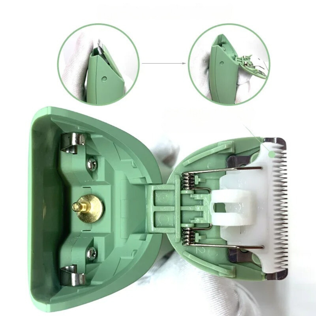 Tondeuse professionnelle pour le corps