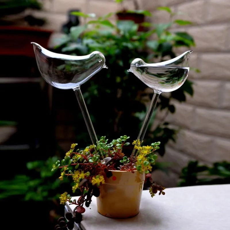 Plante d'intérieur auto-arrosage en verre