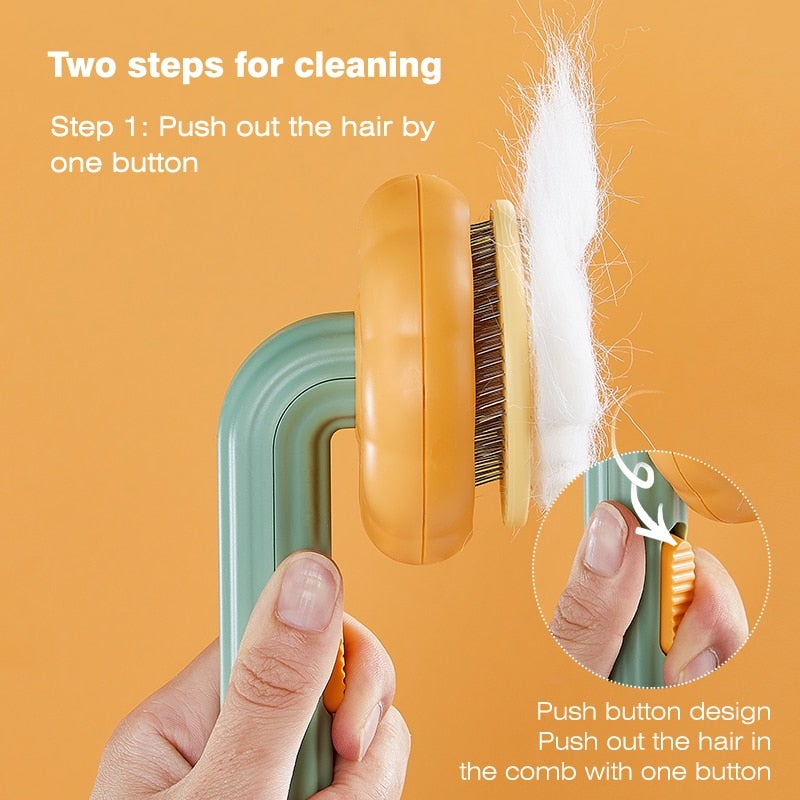 Brosse à poils de citrouille