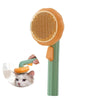 Brosse à poils de citrouille