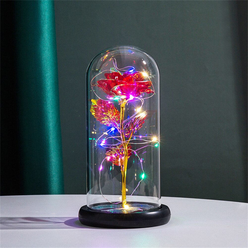 Dôme lumineux Rose Perpétuelle