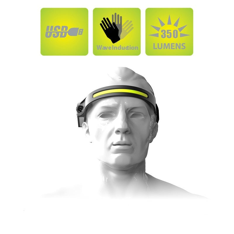 Capteur à vision intégrale Koplamp