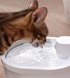 Fontaine à eau pour chat avec capteur intelligent