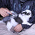 Aspirateur à poils d'animaux