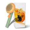 Brosse à poils de citrouille