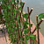 Clôture de jardin rétractable